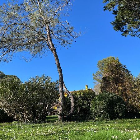 Villa De Miha ヴァルボンヌ エクステリア 写真